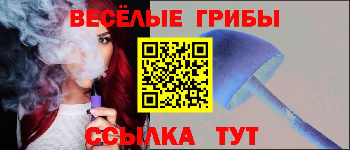 Галлюциногенные грибы Magic Shrooms  Вход с VPN  Кудрово  Галлюциногенные грибы мухоморы 